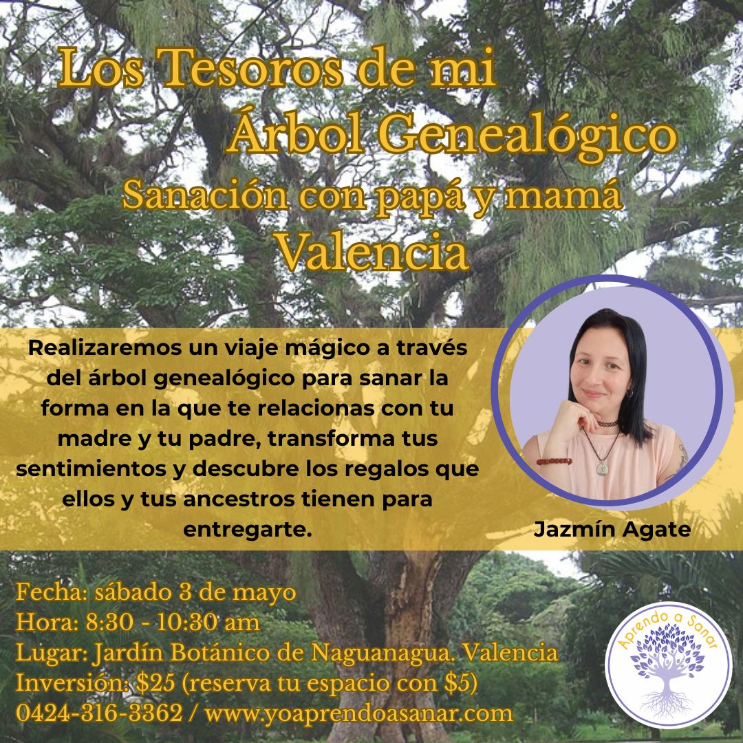 cursos